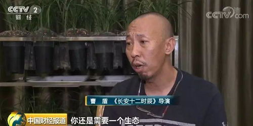 熱播網劇帶火取景地 影視基地成暑期旅游 黑馬