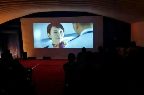 呼和浩特市賽罕區 黨建引領聚合力 攜手為民辦實事